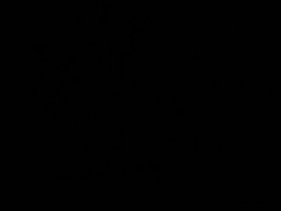 Amazing Casting Wih Long Legs!