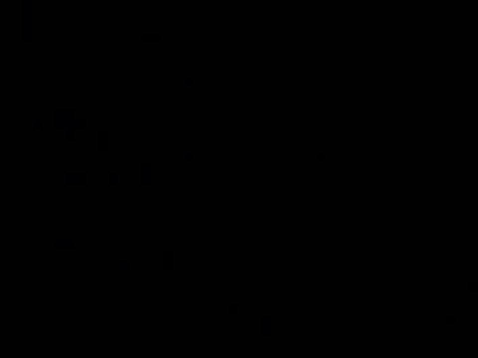 This Shark Will Swallow Your Peeter