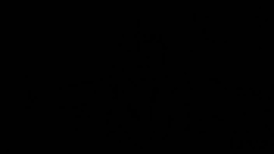 Newcomer With An Erotic Mission!