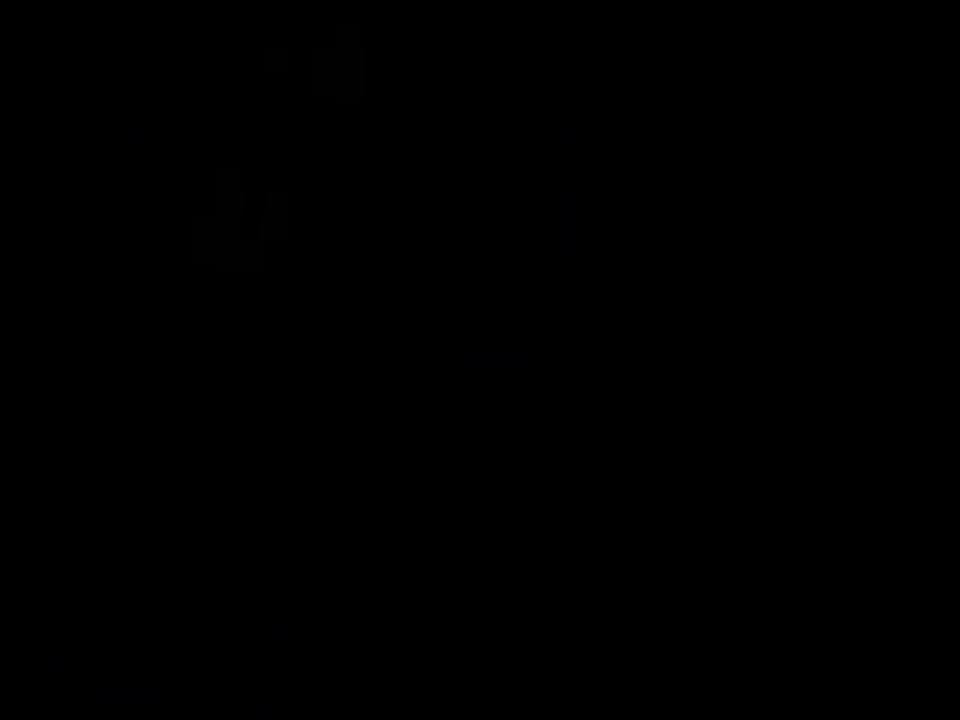 Passionate Blowjob Of Newcomer