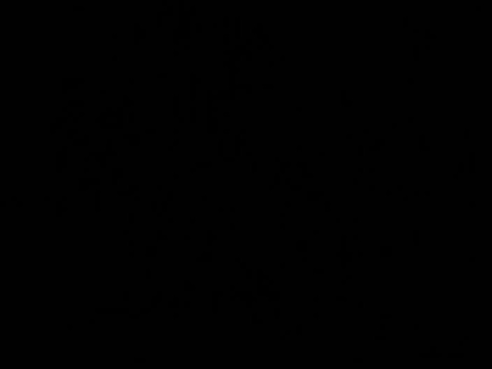 Amazing Casting Wih Long Legs!