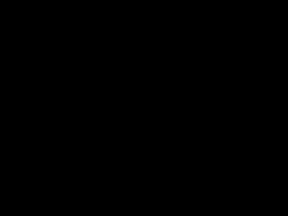 Lucky And The Stone!